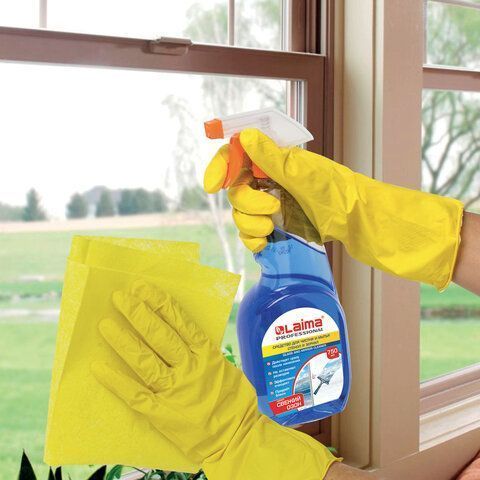 Средство для мытья стекол и зеркал 750мл триггер ЛАЙМА PROFESSIONAL 1/12