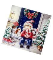 НГ Салфетки (33х33) 3-сл Пришла зима (20) 1/12