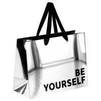 Пакет подарочный бумажный (23х18х10) голография MESHU Be yourself 1/12