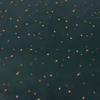 НГ Бумага подарочная 70х100см Золотые звездочки глянец 75г/м 1/10