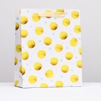 Пакет подарочный ламинированный (26х32х12) Горох 1/192