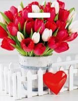 Пакет с вырубной ручкой (31х40)-60 Белиция глянец 50/1000