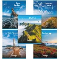 Тетрадь 96л А5 клетка офсет №2  обл картон скоба Природа STAFF 1/5/50