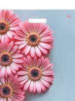 Пакет с вырубной ручкой (38х45)-60 Герберы Шанис Тико 50/500
