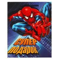 Пакет подарочный бумажный (18х23х10) ламинир Человек-паук 1/12 Пакет подарочный бумажный (18х23х10) ламинир Человек-паук 1/12