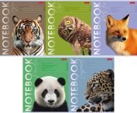 Тетрадь 80л А5 клетка скоба мат лам Дикие и свободные Хатбер 1/5/70