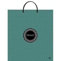 Пакет с пластмассовыми ручками (40х44)-100 Тифани Тико 1/10/100