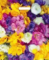 Пакет с вырубной ручкой (38х45)-60 Весенний букет 25/500