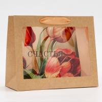 Пакет подарочный бумажный с окном (24х11х20) Счастья 1/350