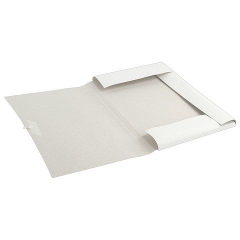 Папка для бумаг на завязках картон BRAUBERG гар пл 300г/кв.м 200л 1/150