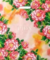 Пакет с вырубной ручкой (40х47)-45 Впечатление 50/500