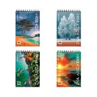 Блокнот 80л А6 100х146мм клетка на гребне ErichKrause MIX-PACK 1/4/64