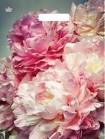 Пакет с вырубной ручкой (31х40)-60 Нежные пионы ламинат Тико 50/500
