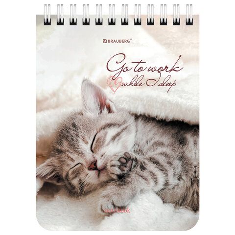 Блокнот 40л А6 108х145мм клетка гребень Милые котята BRAUBERG 1/6/96