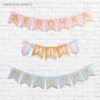 Гирлянда Гендер пати на ленте длина 220см 1/210