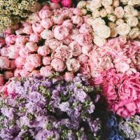 Бумага подарочная глянц 50х70см 80 г/м2 Букет цветов 10/90