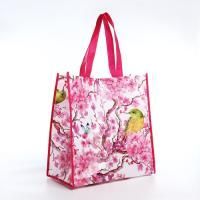 Сумка хозяйственная без молнии (35х36х19) малиновая ПВХ 1/480