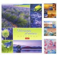 Тетрадь 80л А5 клетка скоба мел картон Гармония природы Хатбер 1/7/70