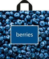 Пакет с петлевой ручкой (44x42)-70 Черника Тико 50/300