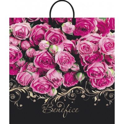 Пакет с пластмассовыми ручками (40х44)-100 Бенефис 10/100 Пакет с пластмассовыми ручками (40х44)-100 Бенефис 10/100