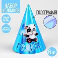 Колпак 1 Годик панда 6/6